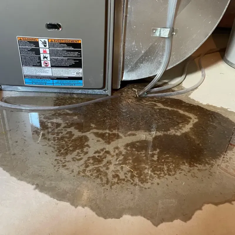 Appliance Leak Cleanup in Alexandria, SD